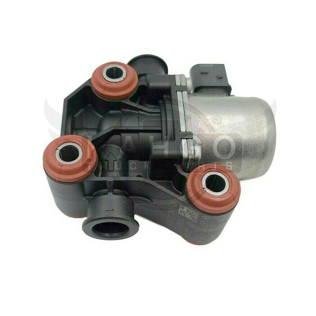 Image-1
