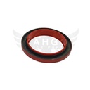 Image-1