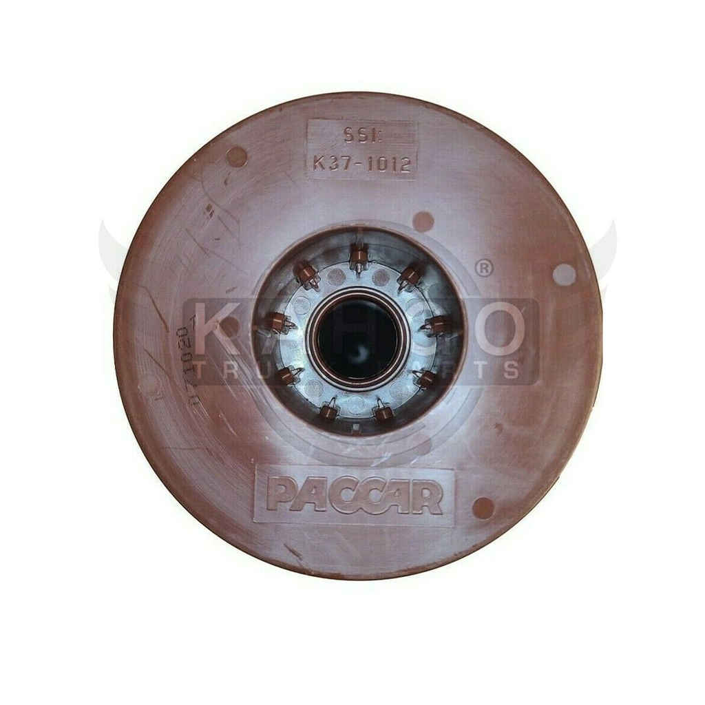 Image-1