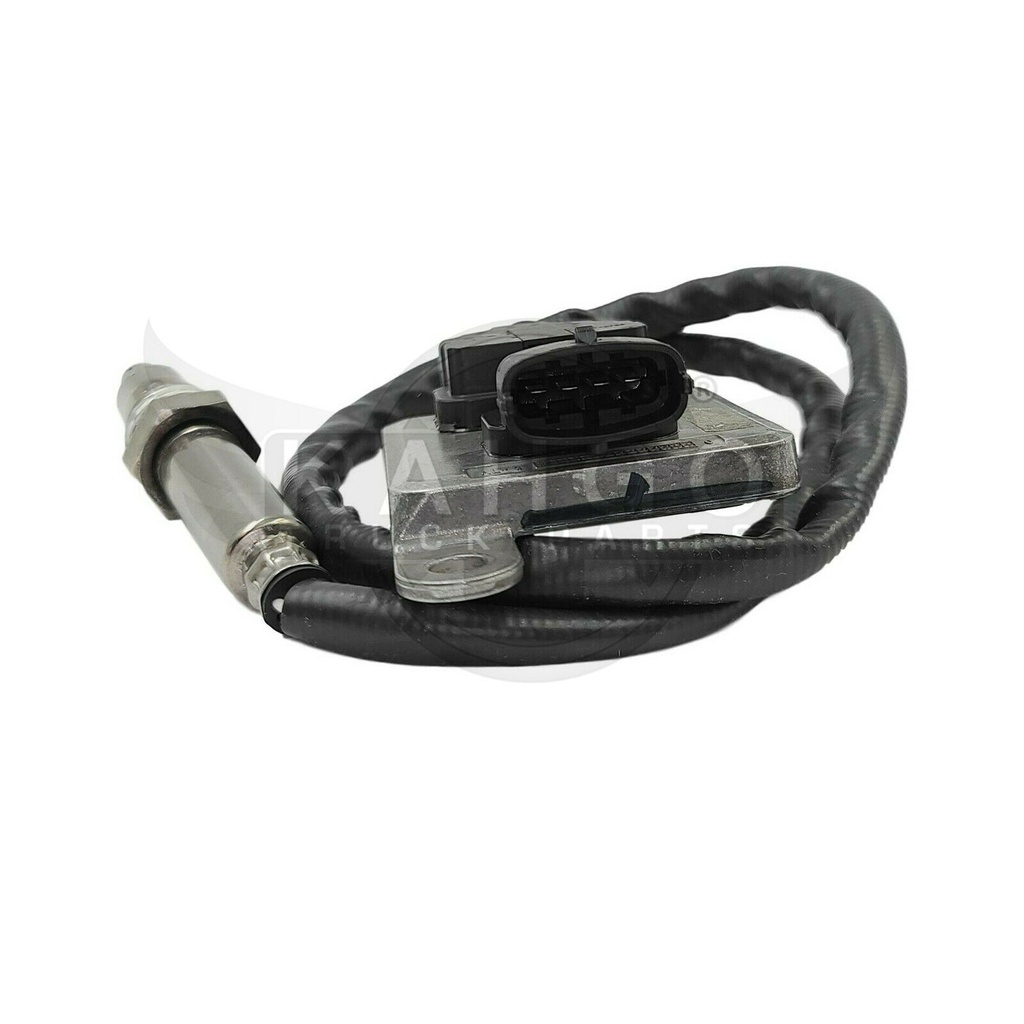 Image-1