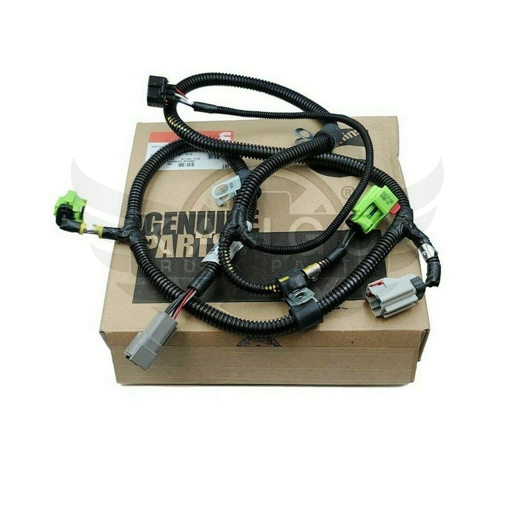 Image-3