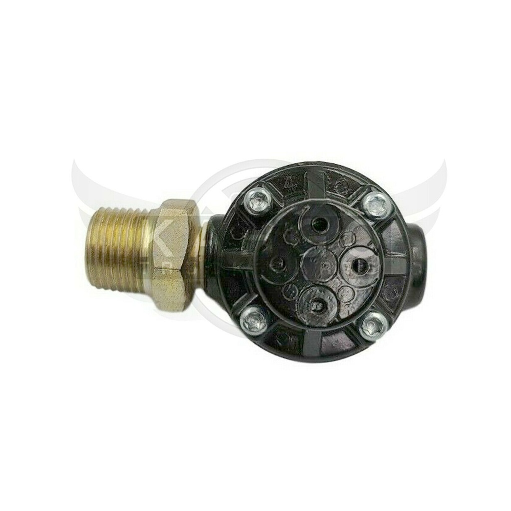 Image-1