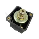Image-2