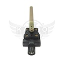 Image-1