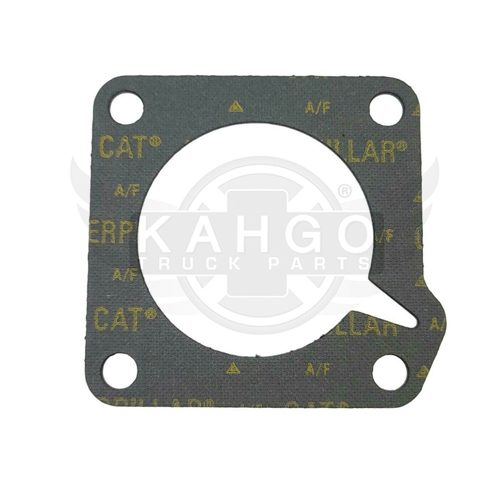 Image-1