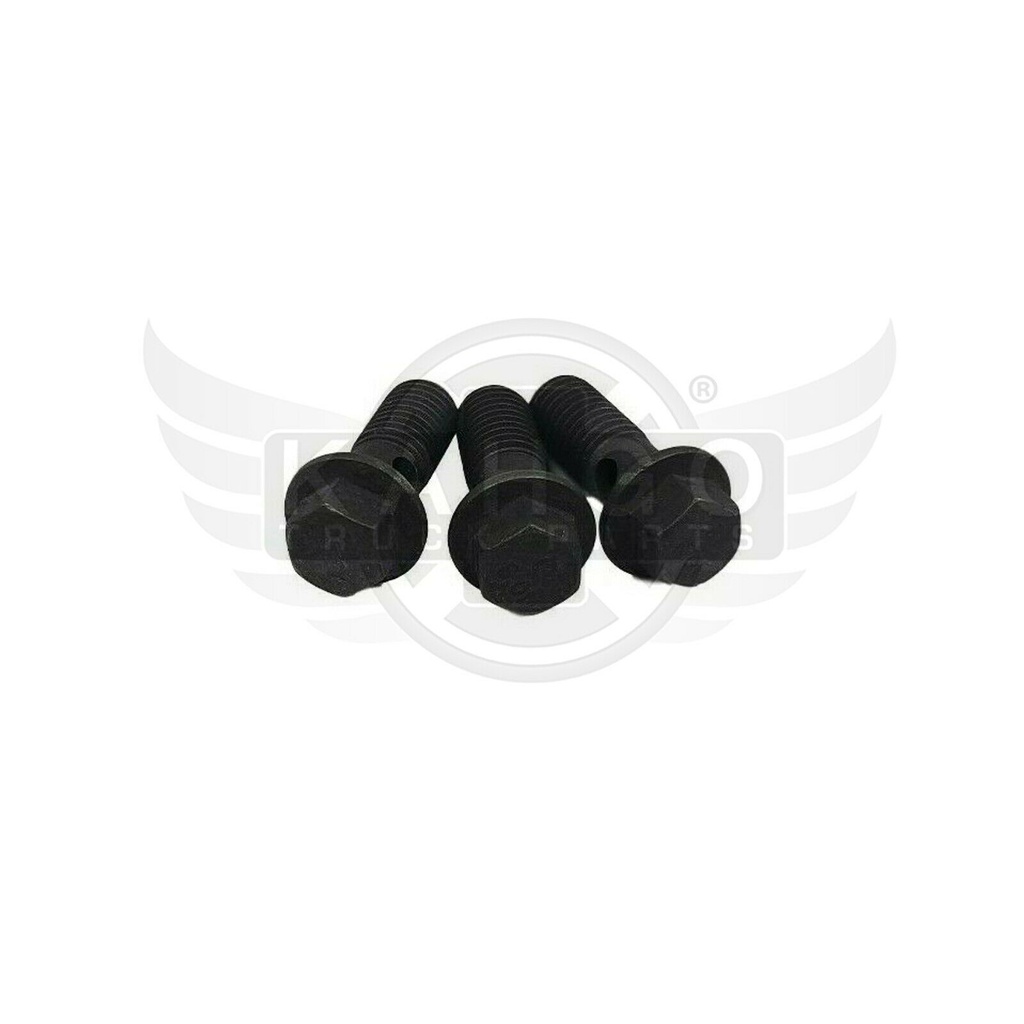 Image-1