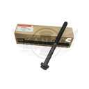 Image-2