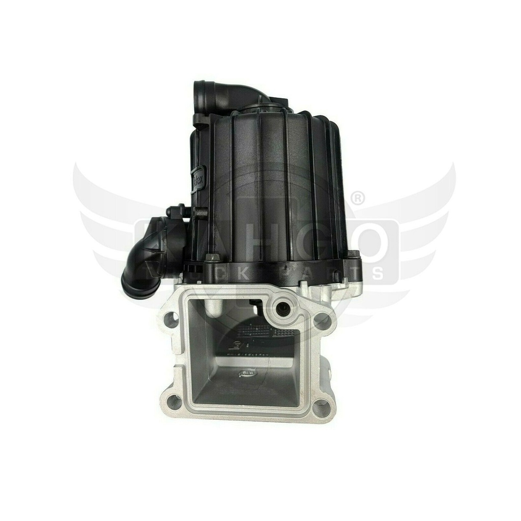 Image-2