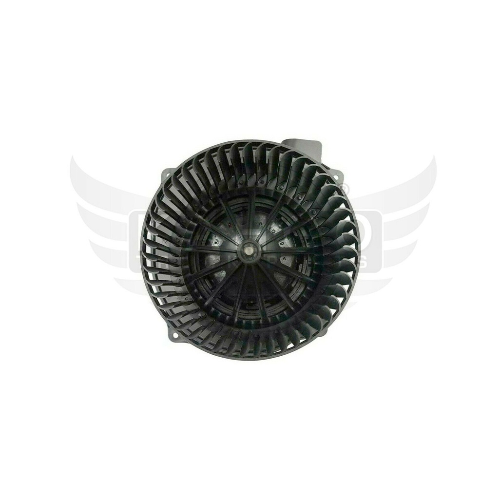 Image-1