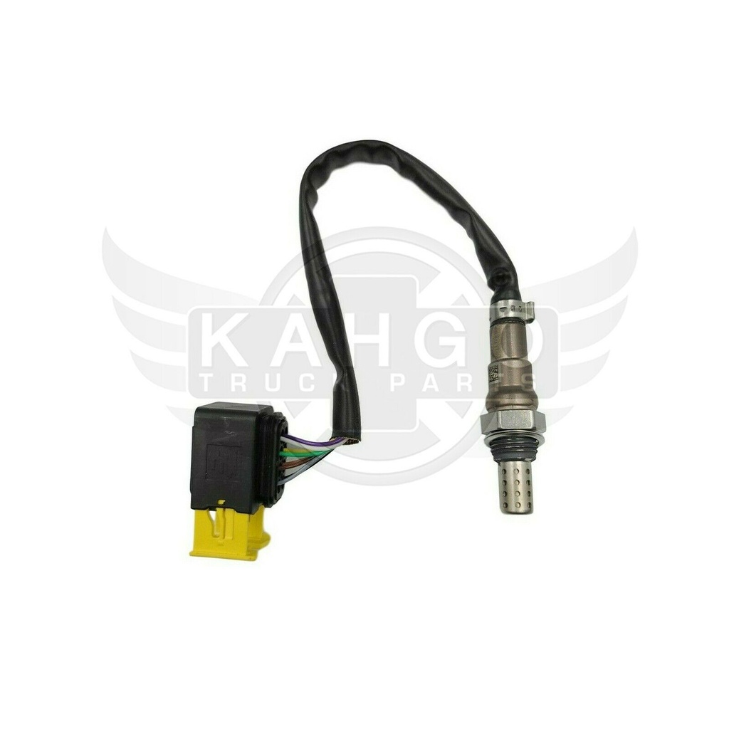Image-1