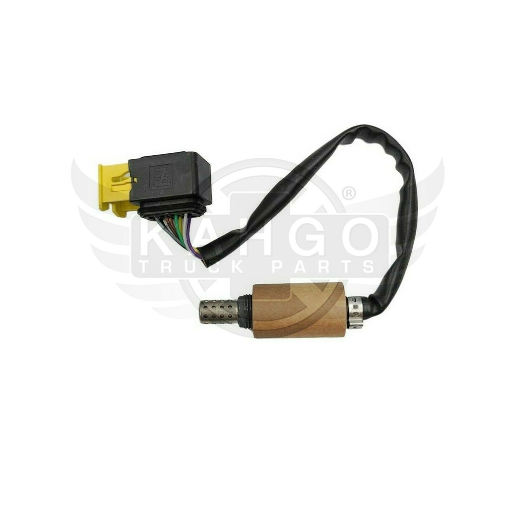 Image-3