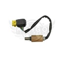 Image-3