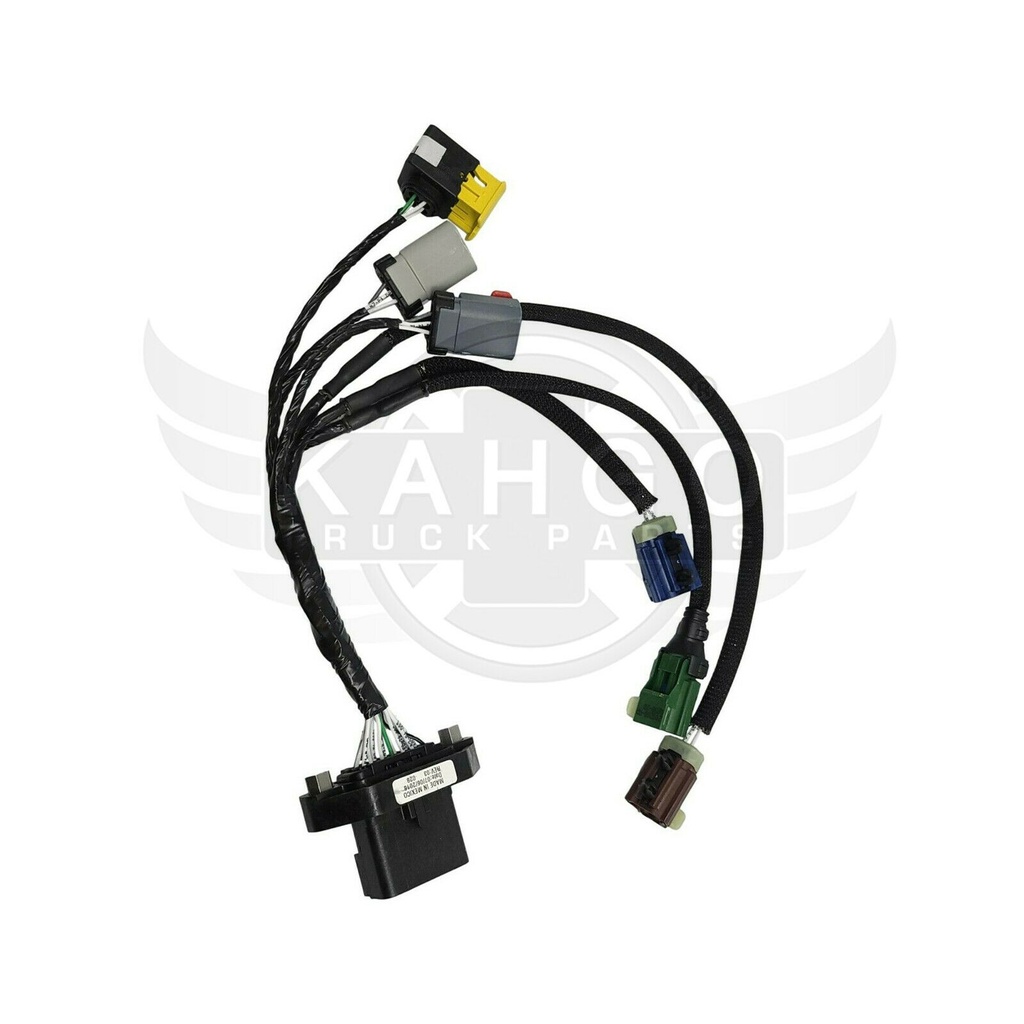 Image-4