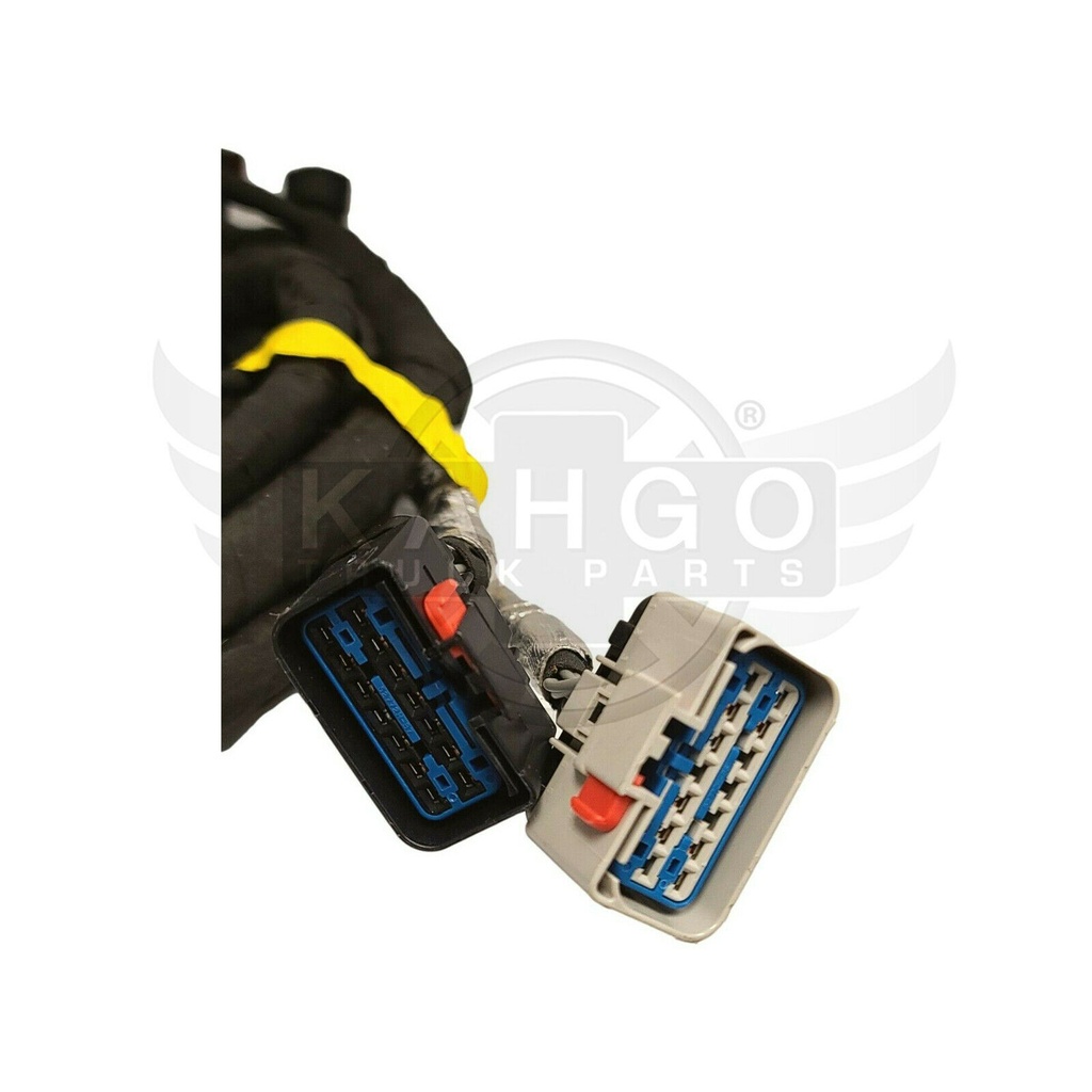 Image-2