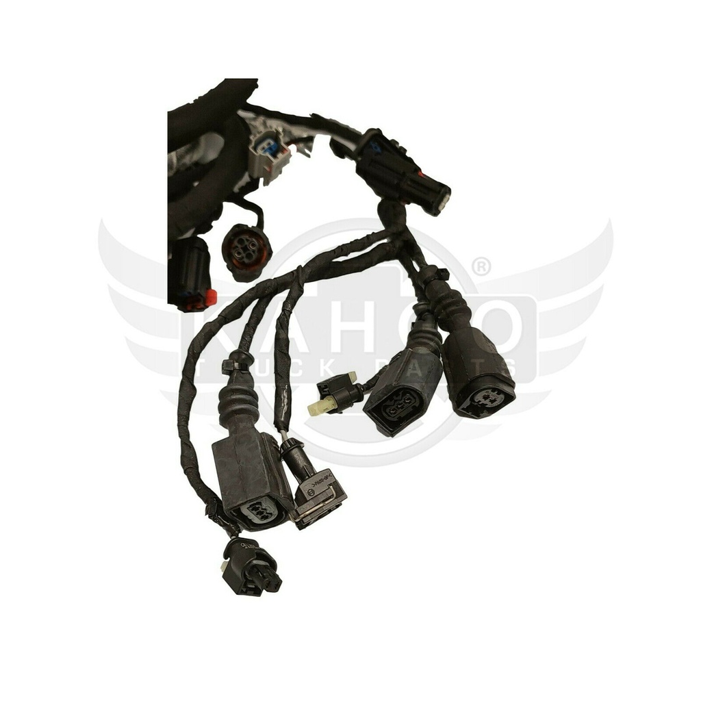 Image-4