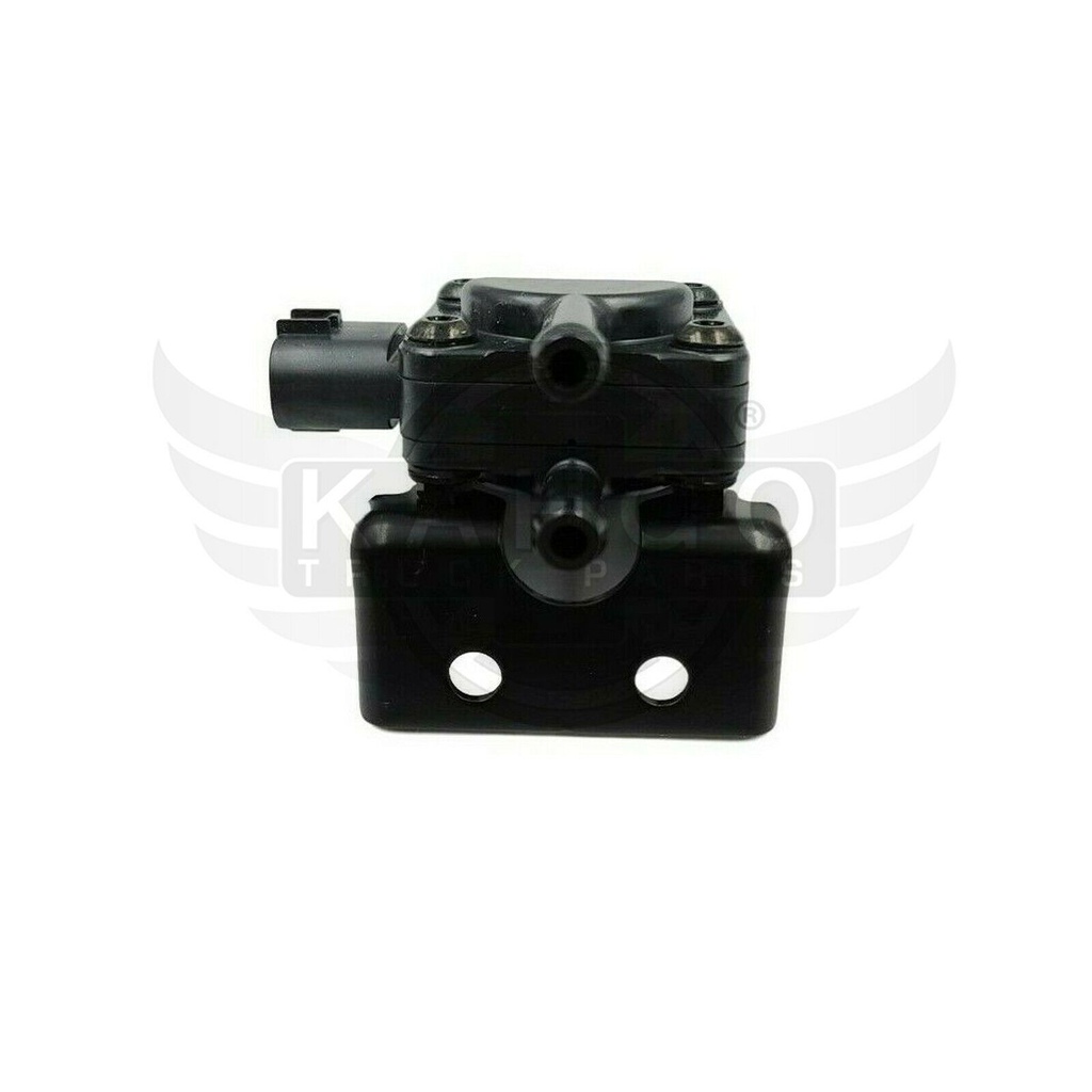 Image-3