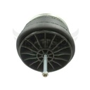 Image-1