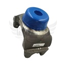 Image-1