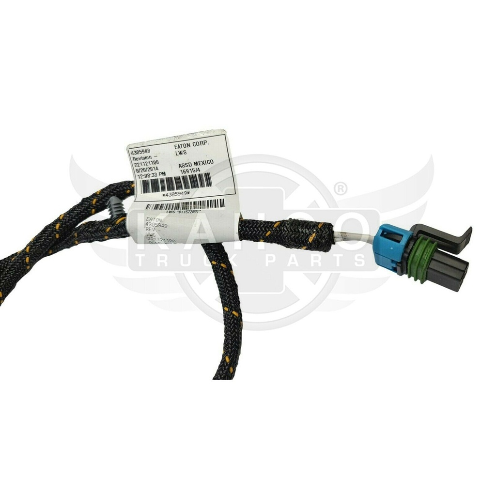 Image-3