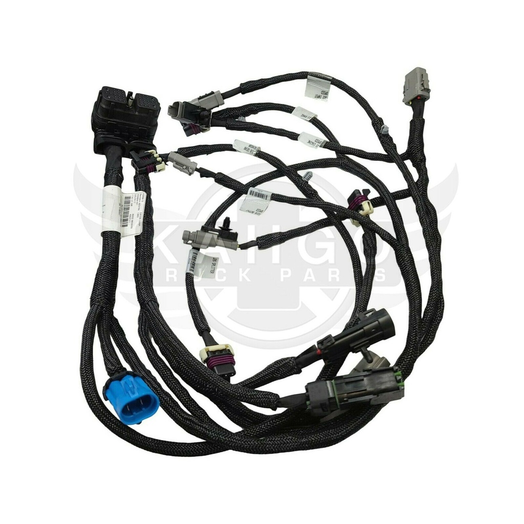 Image-1