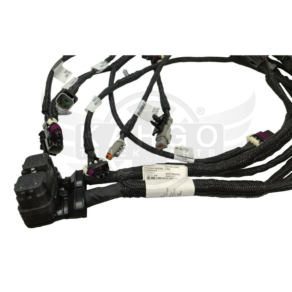 Image-2