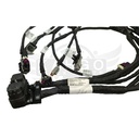 Image-2