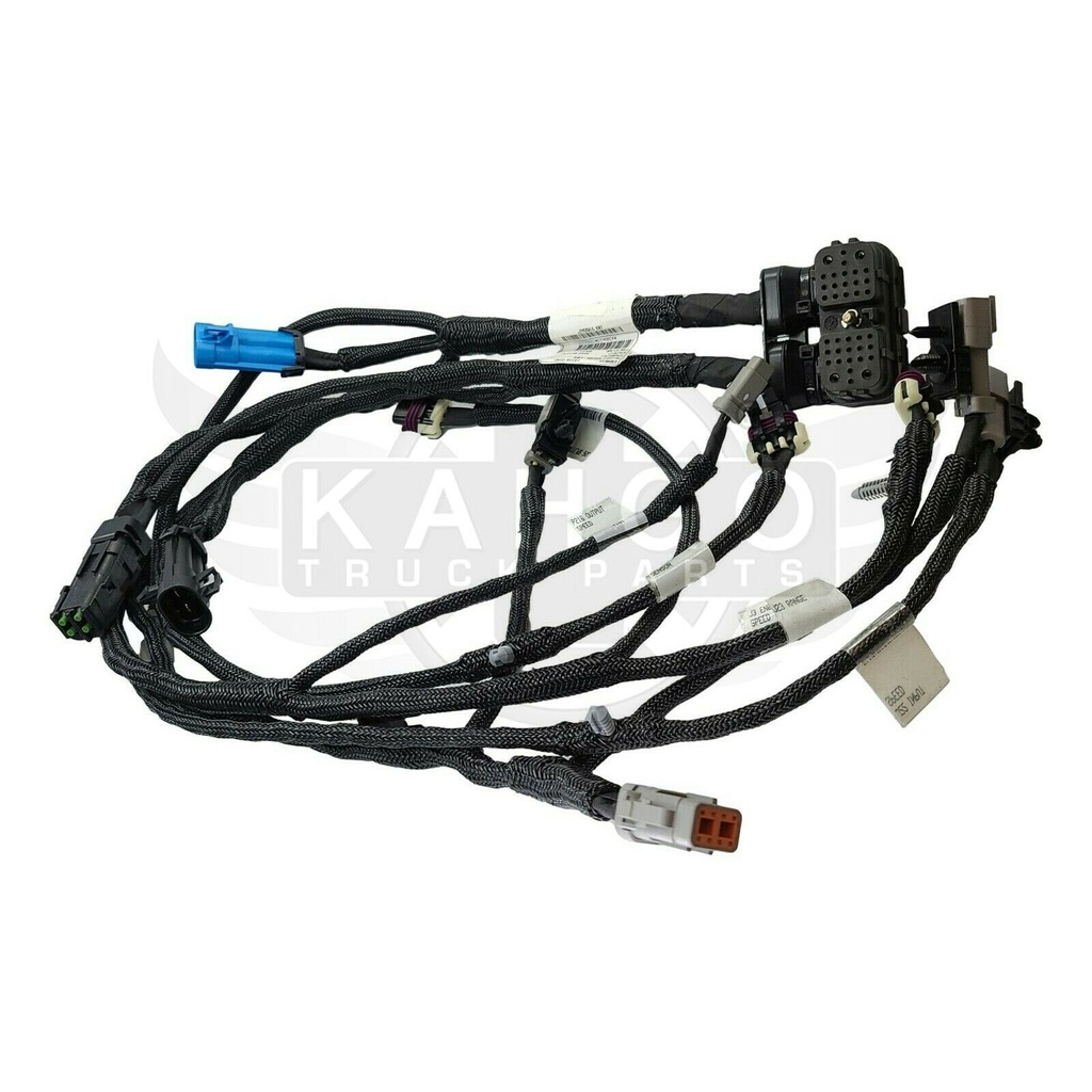Image-3