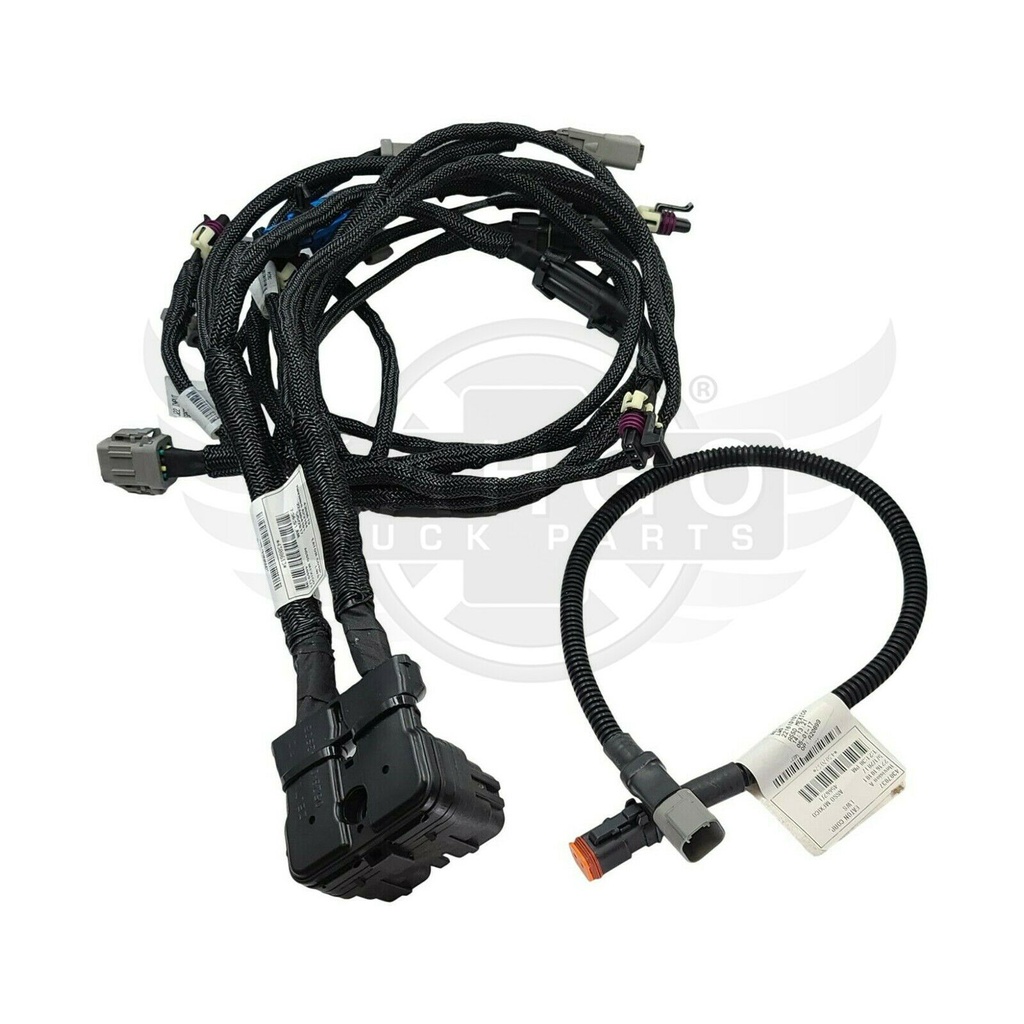 Image-5