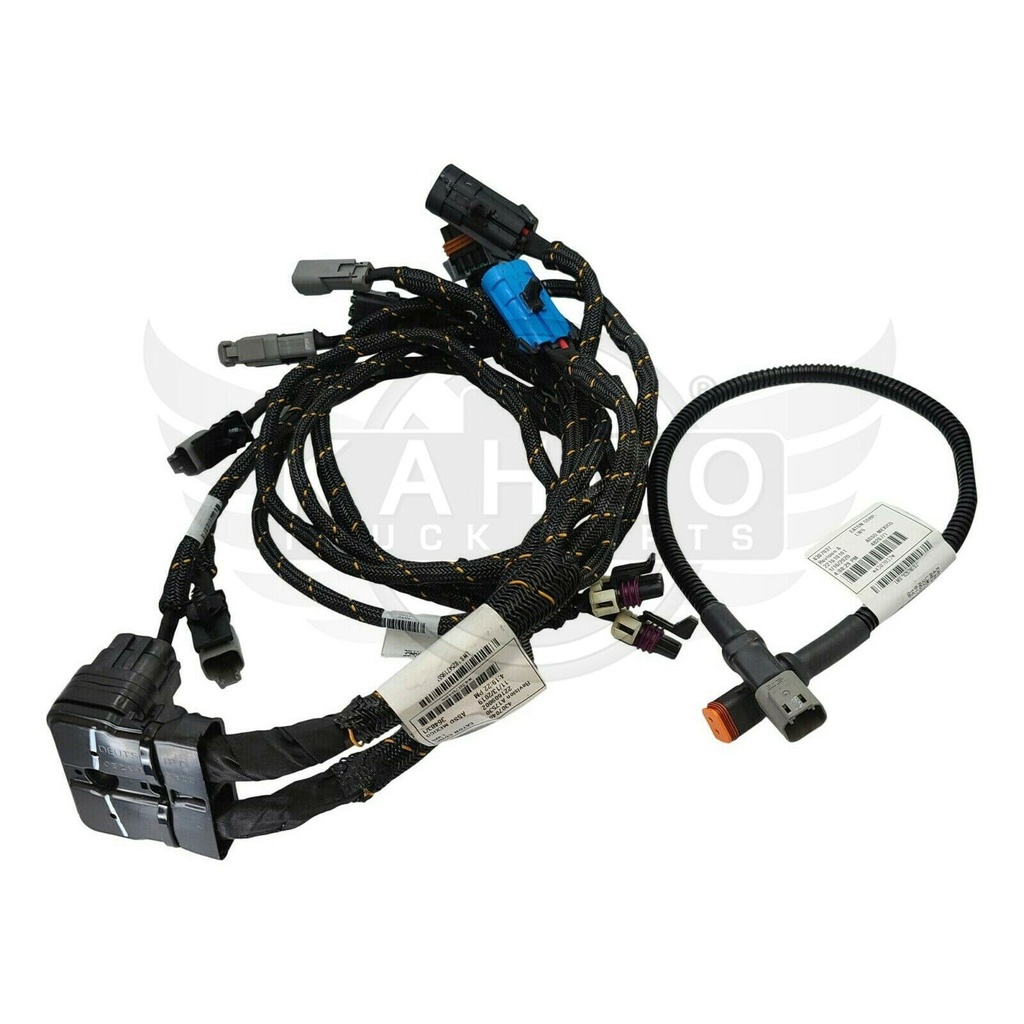 Image-3