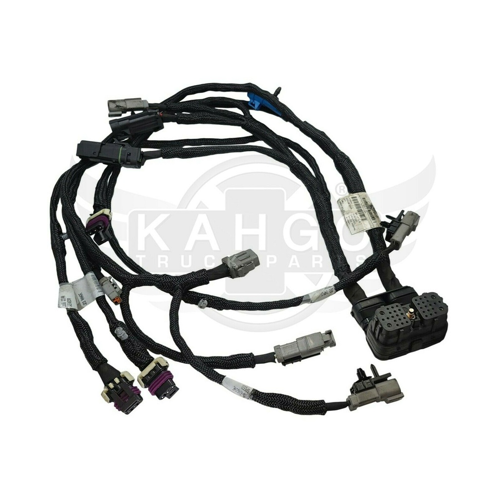 Image-2