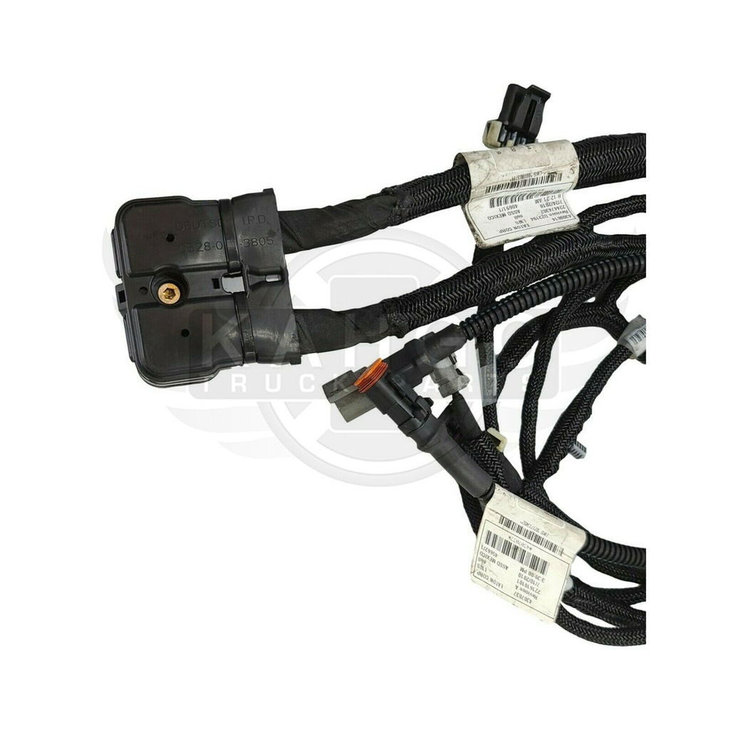 Image-3