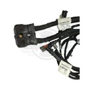 Image-3