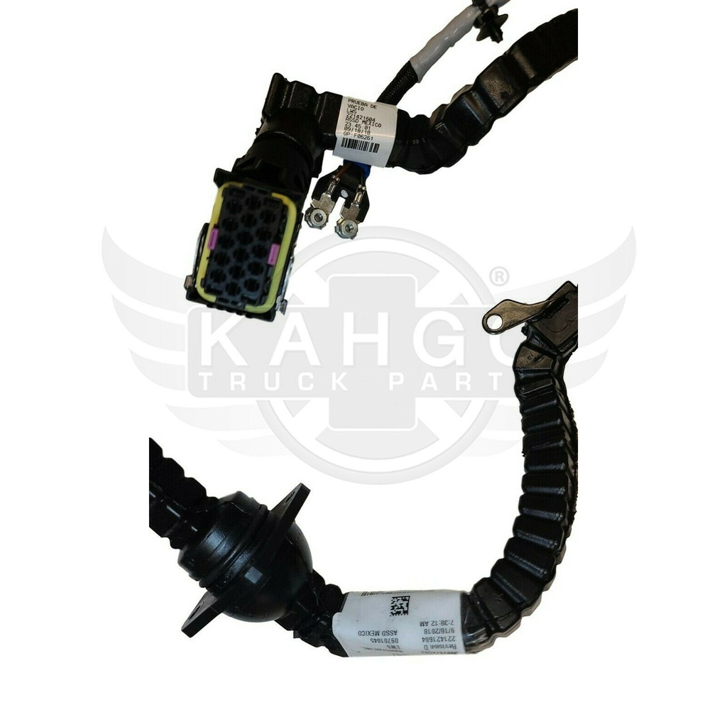 Image-1