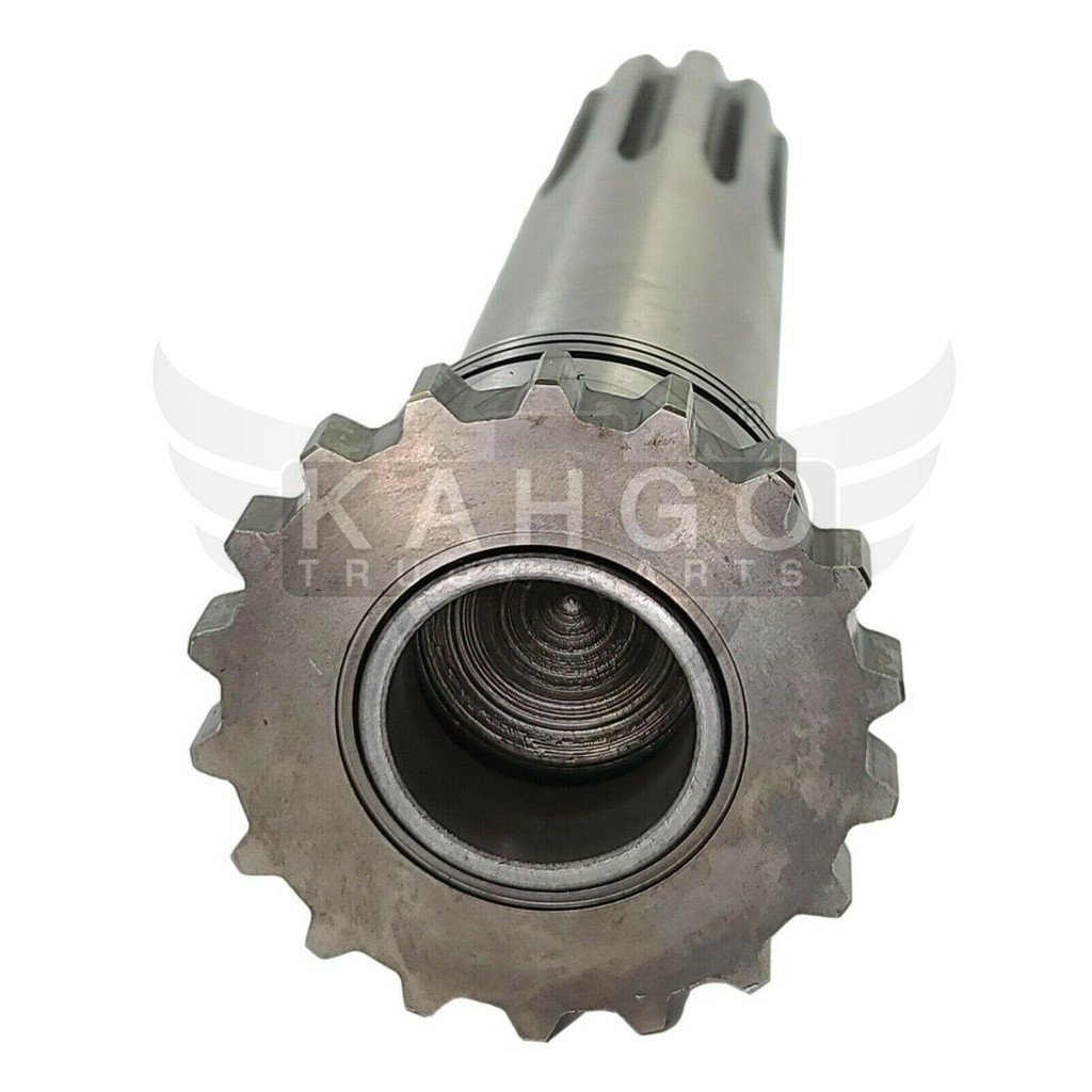 Image-2