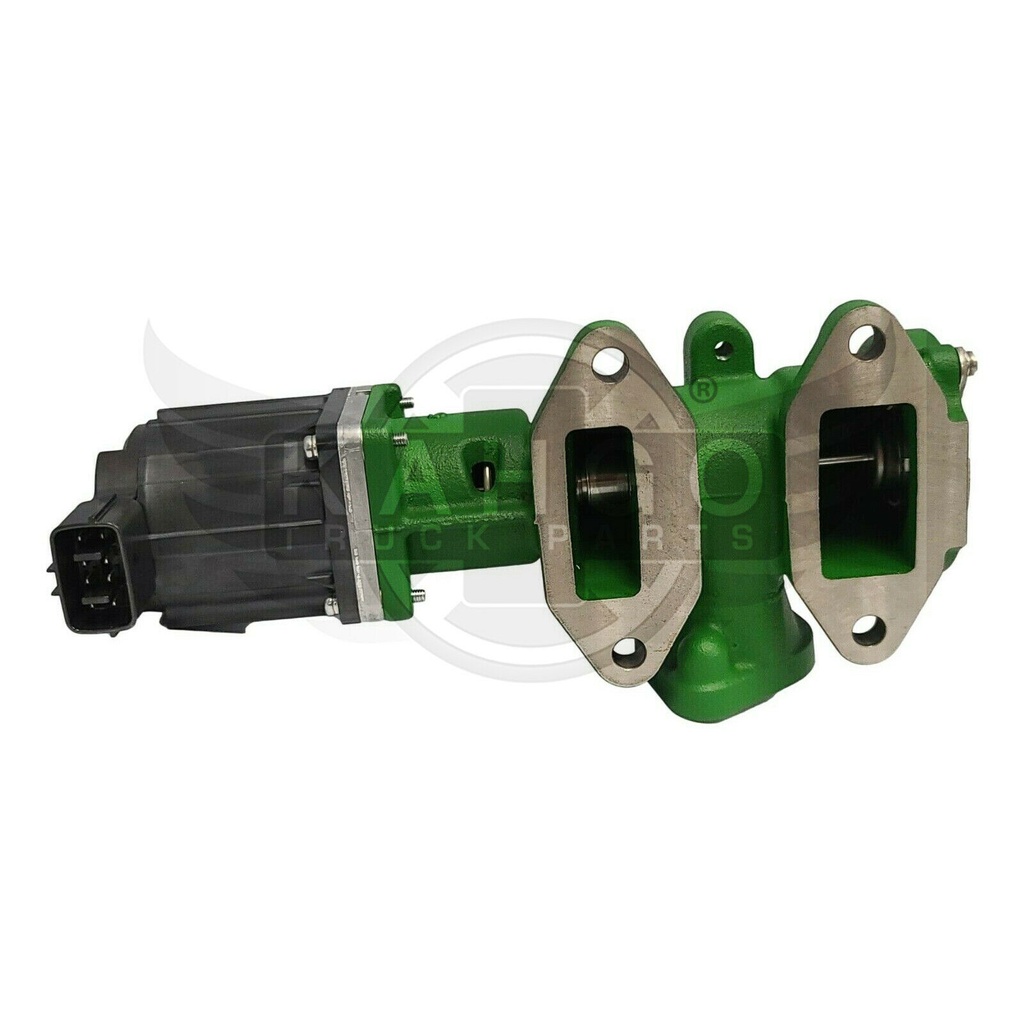 Image-1
