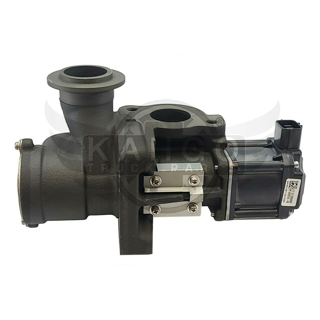 Image-3