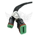 Image-2