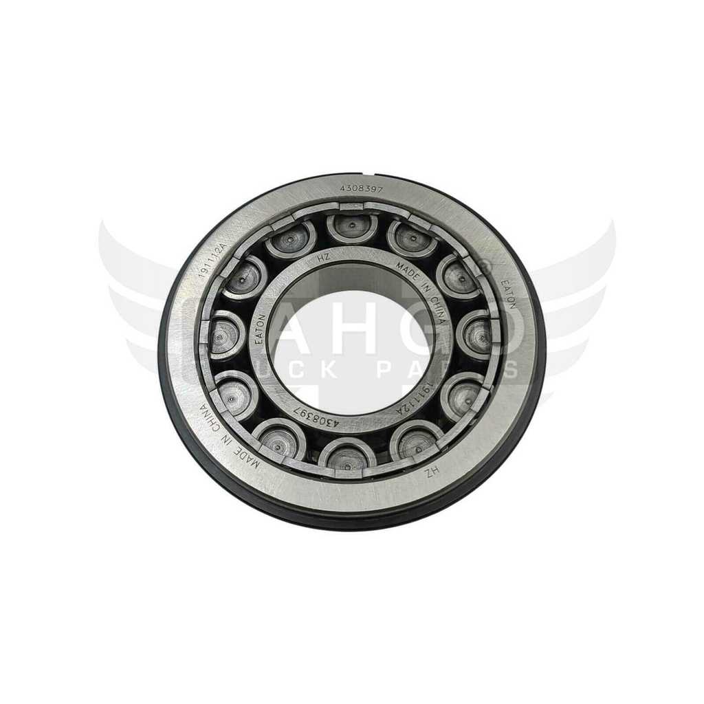 Image-4