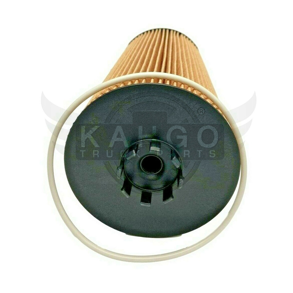 Image-1