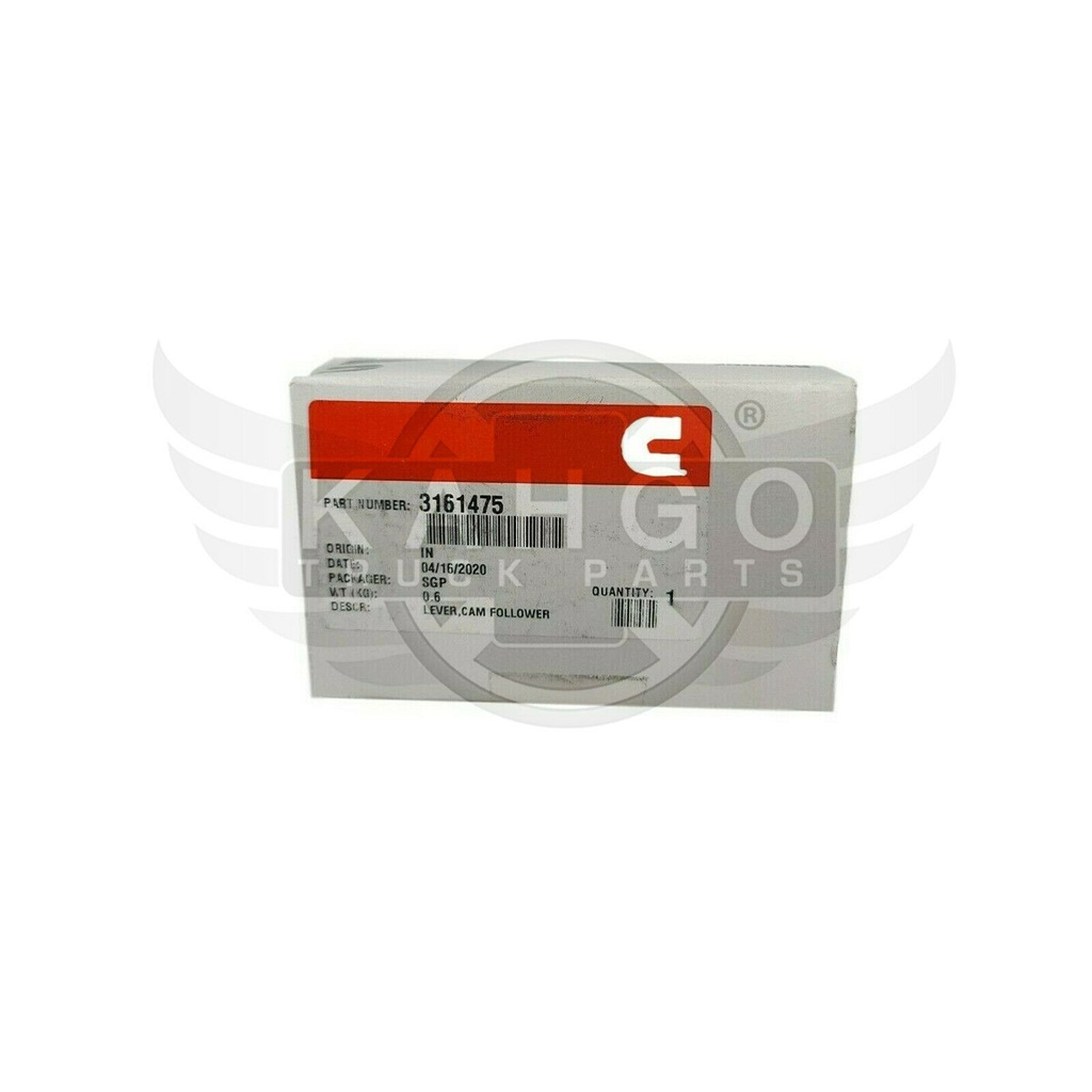 Image-1