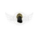 Image-1