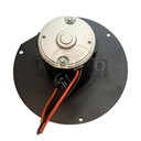 Image-2