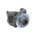 Image-1