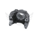Image-1