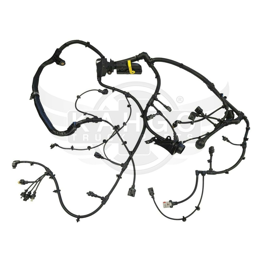 Image-4