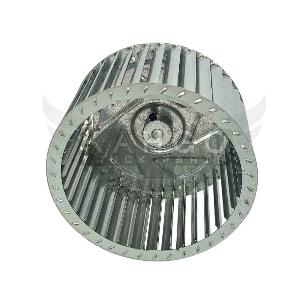 Image-1