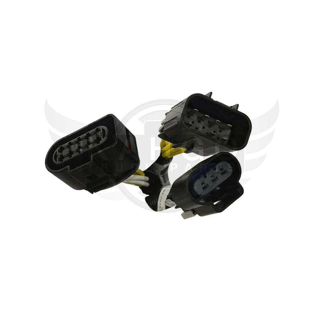 Image-2