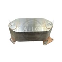 Image-1