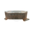 Image-2