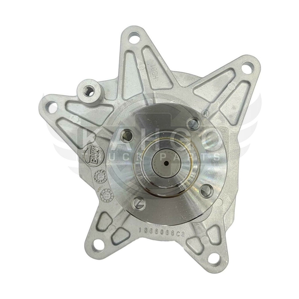 Image-1